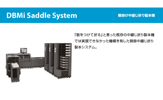 DBMi Saddle System