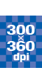 300×360dpi